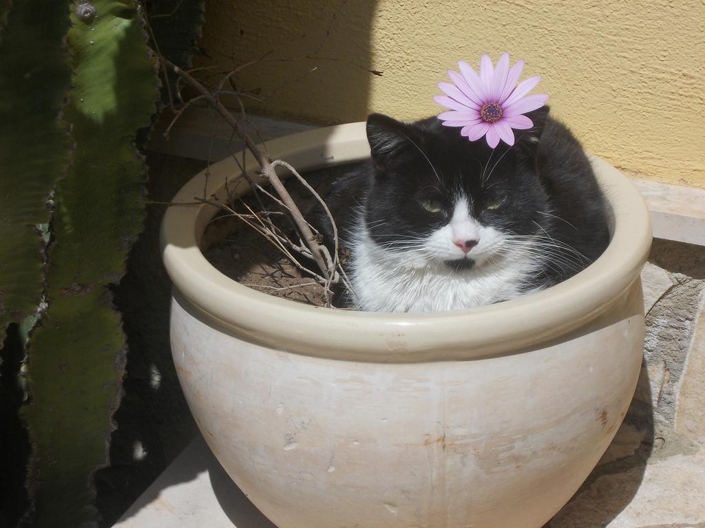 Willa Agriturcostabaira Caltagirone Zewnętrze zdjęcie